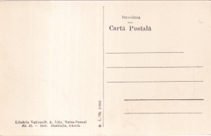 Vatra-Dornei. Salonul de cura cu izvor (necirculata) - Img 2