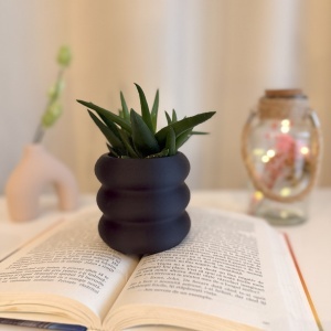 Ghiveci pentru plante mici (planta nu este inclusa), Diametru intern 6 cm, Negru, Printat 3D din PLA ECO(plastic biodegradabil) - Img 4