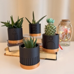 Set 4 Ghivece pentru plante mici (plantele nu sunt incluse), Diametru intern 6 cm, Auriu / Negru, Printat 3D din PLA ECO(plastic biodegradabil)