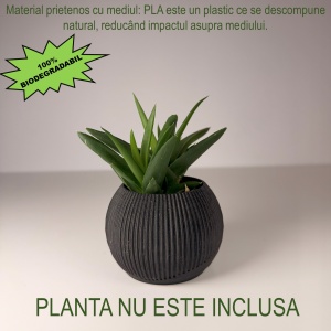 Ghiveci pentru plante mici (planta nu este inclusa), Diametru intern 6 cm, Negru, Printat 3D din PLA ECO(plastic biodegradabil) - Img 3