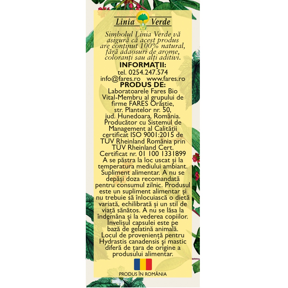Aceasta este imaginea corespunzatoare acestui obiect