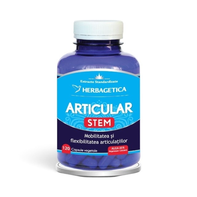 Articular Stem, 120 capsule, Herbagetica