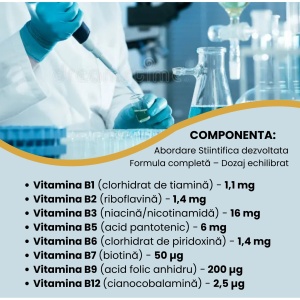 B-Complex, 30 capsule, Balkan Pharmaceuticals - Img 5