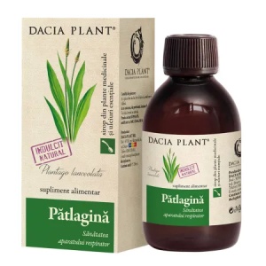 Sirop de Pătlagină, 200 ml, Dacia plant