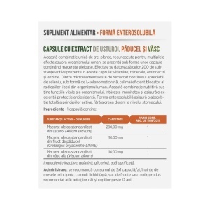 Usturoi + Păducel + Vâsc, macerate uleioase, susține sănătatea inimii și circulația, contribuie la protecția antioxidantă, 30 capsule, Parapharm - Img 2
