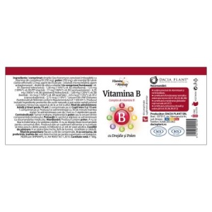 Vitamina B cu Drojdie și Polen, 60 comprimate, Dacia plant - Img 2
