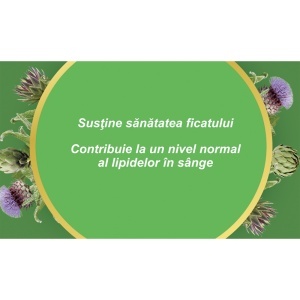 Ceai Anghinare frunze, D112, 50 g, Fares - Img 4