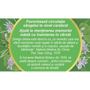 Ceai Circulație Cerebrală N141, susține memoria și concentrarea, contribuie la buna circulație a sângelui la nivel cerebral, 50 g, Fares - Img 4