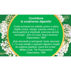 Ceai Coada Șoricelului iarbă D115, susține digestia și contribuie la menținerea confortului gastric, 50 g, Fares - Img 4