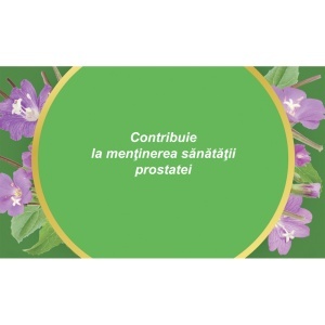 Ceai Pufuliță cu Flori Mici U88, care susține sănătatea prostatei și funcționarea normală a aparatului urinar, 50 g, Fares - Img 4