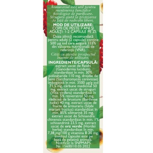 Detoxifiant cu Ganoderma + Iod Natural P137, 60 capsule, Fares - Img 3