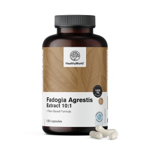 HealthyWorld, Fadogia Agrestis Extract 10:1 - supliment alimentar destinat susținerii vitalității masculine, 120 capsule - Img 2