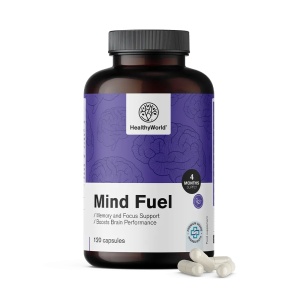 Mind Fuel, supliment alimentar destinat susținerii memoriei, concentrării și energiei mentale, cu extracte vegetale, aminoacizi și vitamine B, 120 capsule, HealthyWorld - Img 2