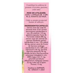 Silueta Perfectă M125, capsule care susțin controlul greutății și metabolismul grăsimilor și ajută la reducerea senzației de foame, 60 capsule, Fares - Img 3