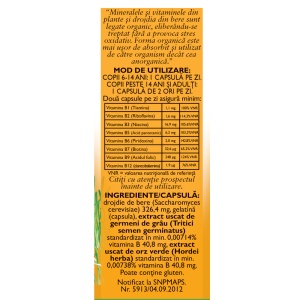 Vitamine naturale B Complex, F172, 60 capsule, Fares - Img 3