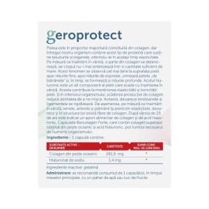 BioColagen Forte, cu colagen din pește oceanic și acid hialuronic, susține elasticitatea, hidratarea și aspectul pielii, 30 capsule, Parapharm - Img 2