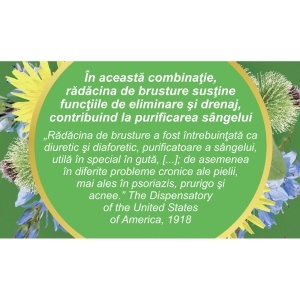 Ceai curățarea sângelui, P125, 50 g, Fares - Img 4