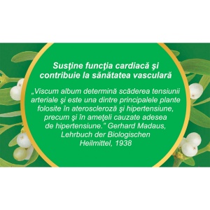 Ceai Vâsc cu rămurele C41, 50 g, Fares - Img 4