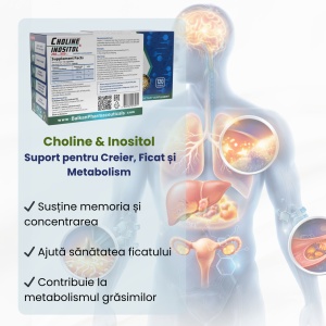 Choline & Inositol, 250mg|250mg, 120 capsule, Balkan Pharmaceuticals - Img 3