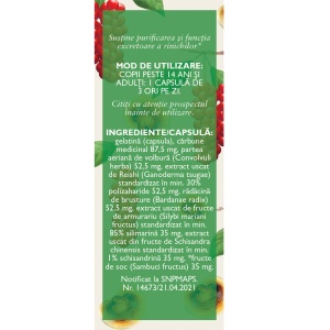 Detoxifiant cu Ganoderma, P127, 63 capsule, Fares - Img 3