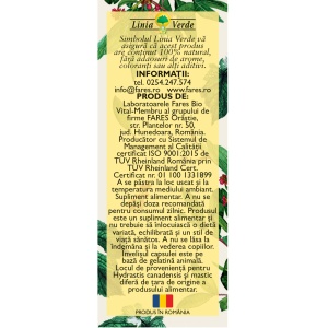 Helicostop D91, capsule pentru susținerea stomacului în infecția cu Helicobacter pylori și protecția mucoasei gastrice, 63 capsule, Fares - Img 3