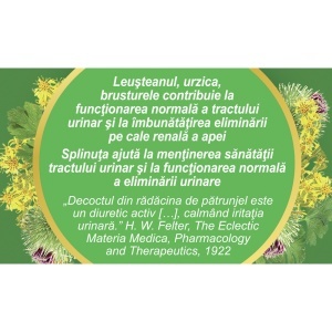 Ceai Diuretic U67, 50 g, Fares - Img 4