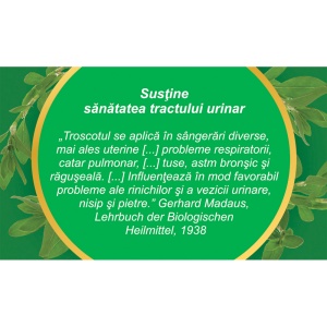 Ceai Troscot iarbă U 99, 50 g, Fares - Img 4