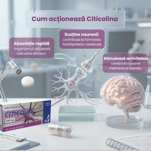 Citicolin, 500 mg, 30 comprimate, Balkan Pharmaceuticals - Img 3
