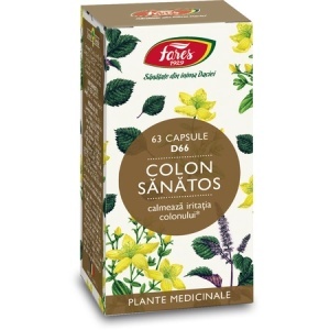 Colon Sănătos, D66, 63 capsule, Fares