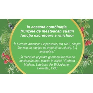 Ceai Diurosept, U62, 50 g, Fares - Img 4