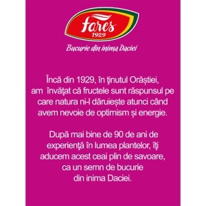 Ceai eco cu fructe de pădure, 20 plicuri, Fares - Img 4