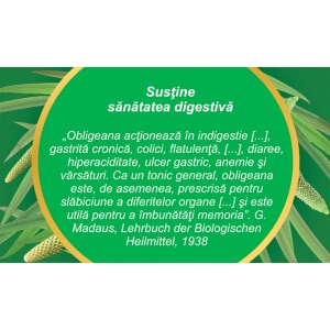 Ceai Obligeană rădăcină D 46, 50 g, Fares - Img 4