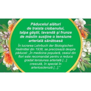 Ceai pentru Tensiune C36, 50 g, Fares - Img 4