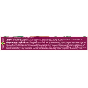 Fitodolor Acut L97, capsule moi pentru dureri acute de cap, dentare, musculare și menstruale, 20 capsule, Fares - Img 4