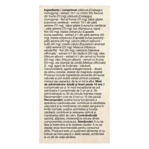 HerboTensin, 120 comprimate, Dacia plant - Img 2