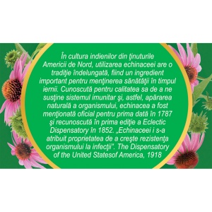Ceai de Echinacea F186, 50 g, Fares - Img 4