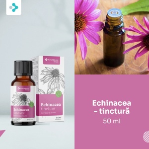 FutuNatura, Echinacea Tincture - tinctură de echinacea, 50 ml - Img 2