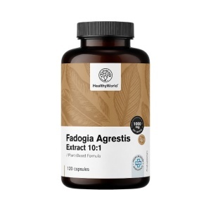 HealthyWorld, Fadogia Agrestis Extract 10:1 - supliment alimentar destinat susținerii vitalității masculine, 120 capsule