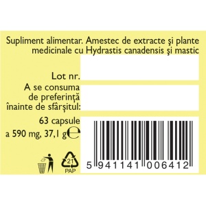 Helicostop D91, capsule pentru susținerea stomacului în infecția cu Helicobacter pylori și protecția mucoasei gastrice, 63 capsule, Fares - Img 4