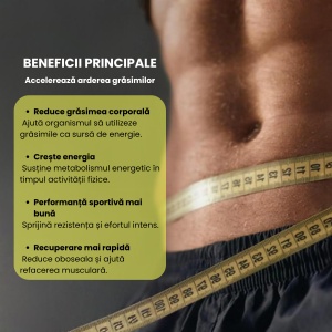 L-Carnitine BP, 500mg, 60 capsule, Balkan Pharmaceuticals - Img 7