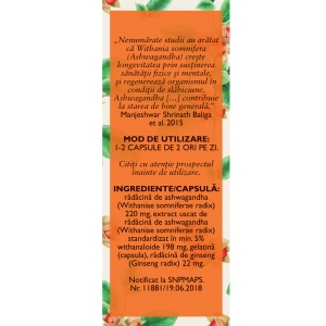 Ashwagandha cu ginseng, N159, 60 capsule, Fares - Img 2