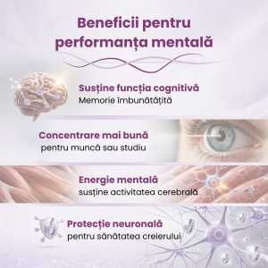 Citicolin, 500 mg, 30 comprimate, Balkan Pharmaceuticals - Img 4