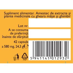Imunitate Respirator și Digestiv, F160, 42 capsule, Fares - Img 5