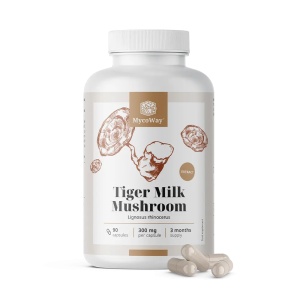 MycoWay, Tiger Milk Mushroom - extract din ciupercă Lignosus rhinocerus, 90 capsule - Img 2