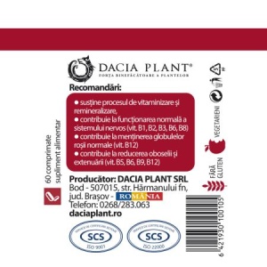 Vitamina B cu Drojdie și Polen, 60 comprimate, Dacia plant - Img 4