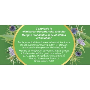 Ceai Articulații Sănătoase, L93,20 plicuri, Fares - Img 5