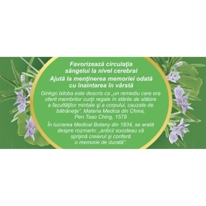 Ceai Circulație Cerebrală N131, susține memoria și funcțiile cognitive, contribuie la buna circulație a sângelui la nivel cerebral, 20 plicuri, Fares - Img 3