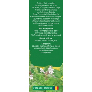 Ceai Roiniță iarbă N 150, 50 g, Fares - Img 3