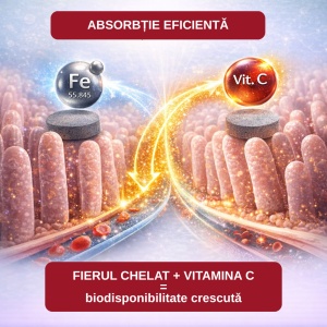 Fier Chelat, 20 mg, 20 capsule, Balkan Pharmaceuticals - Img 6