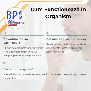 Glicină Forte, supliment alimentar destinat susținerii somnului, funcției cognitive și echilibrului emoțional, 300 mg, 60 capsule, Balkan Pharmaceuticals - Img 4